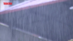 [Video] Miền Bắc tiếp tục mưa lớn, Hà Nội có mưa giông trong ngày 2/7