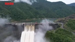 [Video] Tập trung ứng phó khẩn cấp với mưa lũ trên lưu vực sông Cả