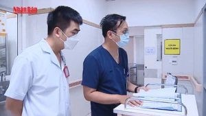 [Video] Điểm sàn khối ngành Y, Dược giảm mạnh