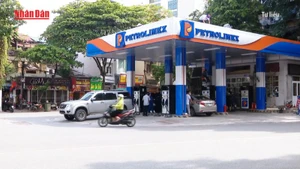[Video] Dự kiến từ 1/1/2026 sẽ bắt đầu sử dụng xăng E10