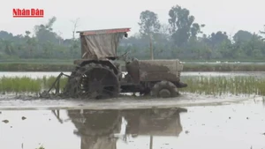 [Video] Từ 1/7, tổng điều tra nông thôn, nông nghiệp năm 2025