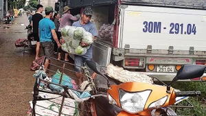 Anh Trung gom hàng để mang về chợ đầu mối.
