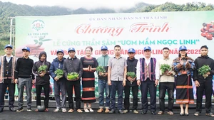 Chính quyền xã Trà Linh và doanh nghiệp trao tặng sâm giống cho các hộ có nhu cầu trồng sâm để thoát nghèo.