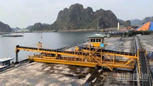 Tập đoàn Công nghiệp Than-Khoáng sản Việt Nam (TKV) yêu cầu các đơn vị, công ty khai thác than thành viên trên địa bàn tỉnh Quảng Ninh triển khai các biện pháp khẩn cấp ứng phó bão số 3 (Wipha).