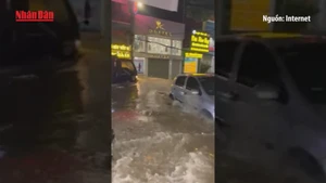 [Video] Miền Bắc mưa lớn kéo dài đến 3/7