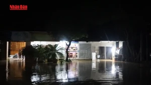 [Video] Cấp điện trở lại cho hơn 83.000 khách hàng vùng lũ Nghệ An