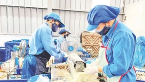 Hoạt động sản xuất tại Công ty TNHH Kẻ Gỗ trong Khu công nghiệp Thanh Bình.