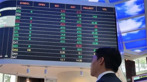 (Ảnh minh họa: TTXVN)