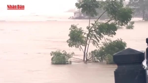 [Video] Cảnh báo nguy cơ ngập úng ở miền Bắc