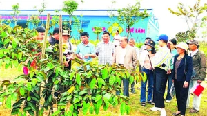 Ông Nguyễn Hồng Lam (áo vest), Chủ tịch Công ty cổ phần Tập đoàn Quế Lâm, Chủ tịch Hội Nông nghiệp tuần hoàn Việt Nam đang hướng dẫn cho bà con nông dân tại mô hình 4F.
