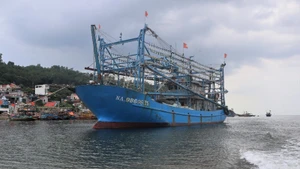 Tỉnh Nghệ An có 2.816 phương tiện /12.644 lao động trực tiếp đánh bắt hải sản.