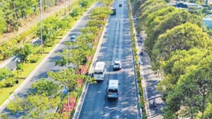 Mầu xanh đô thị đường 3/2, thành phố Vũng Tàu.