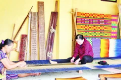 Cơ sở của chị Công tạo ra nhiều sản phẩm từ cói, chiếu cói đa dạng.