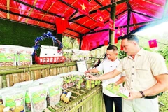 Trưng bày, giới thiệu hàng hóa nông sản do người dân xã Sa Loong sản xuất, chế biến tại chợ phiên “Sa Loong: Hương đất-Tình người”.