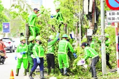 Thu gom rác thải và cành cây xanh trên tuyến đường Quang Trung, phường Thành Vinh.