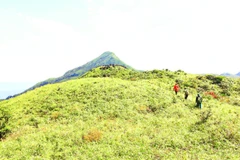 Chinh phục độ cao từ Pa Thiên lên đỉnh Voi Mẹp cao 1.700m.