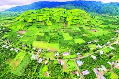 Từ trên cao nhìn xuống, Chư Đăng Ya như một bức tranh kỳ vĩ với những mảng màu luân phiên của cây trồng theo mùa. (Ảnh DŨNG NHÂN)