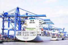  Hoạt động vận chuyển hàng hóa tại cảng Tân Cảng Cát Lái. (Ảnh THẾ ANH)