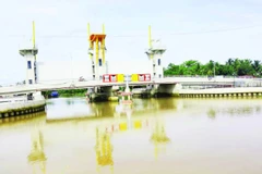 Hệ thống thủy lợi giúp ngăn mặn, trữ ngọt cho vùng trọng điểm sản xuất cây giống, cây ăn quả tại tỉnh Vĩnh Long. 