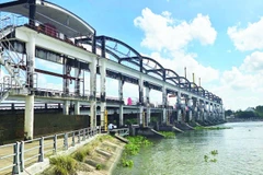 Hệ thống cống ngăn mặn tại xã Nhị Long, tỉnh Vĩnh Long.