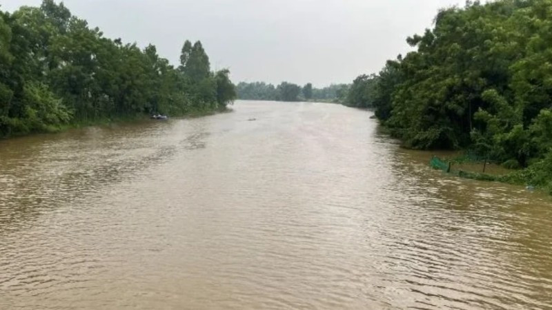 Nước sông Yên đang dâng cao.