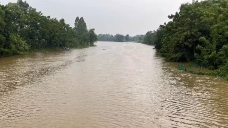 Nước sông Yên đang dâng cao.