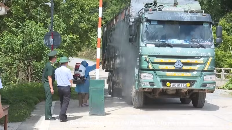 8 xã ở Thanh Hóa có dịch tả lợn châu Phi.