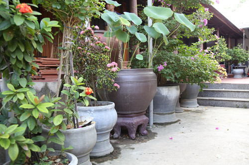 Những chậu cây được làm từ đôi bàn tay khéo léo của người thương binh giàu nghị lực.