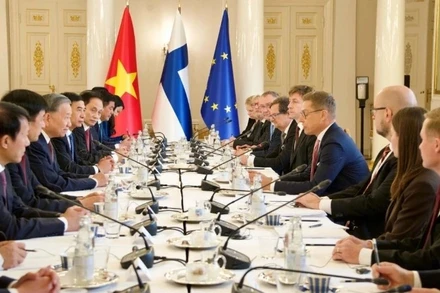 Tổng Bí thư Tô Lâm hội đàm với Tổng thống Tổng thống Phần Lan Alexander Stubb. (Ảnh: VOV)