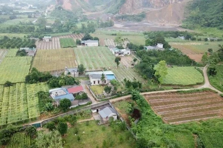 Bảo đảm tính hợp lý, ngăn chặn bỏ cọc khi đấu giá quyền sử dụng đất. (Ảnh minh họa. Nguồn: VH)