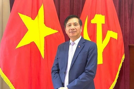 Đại sứ Việt Nam tại Malaysia Đinh Ngọc Linh. (Ảnh: TTXVN)