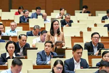 Đại biểu Chu Thị Hồng Thái (Đoàn Lạng Sơn). (Ảnh: DUY LINH)