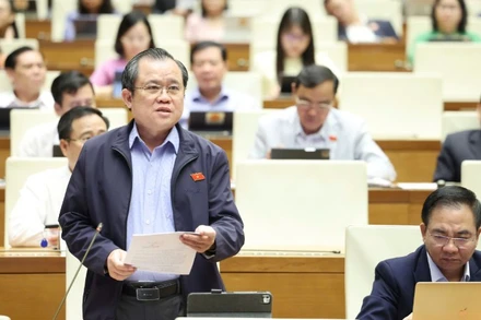 Đại biểu Nguyễn Tâm Hùng (Đoàn Thành phố Hồ Chí Minh). (Ảnh: DUY LINH)