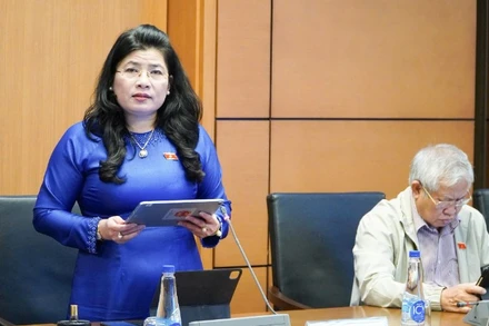 Đại biểu Đàng Thị Mỹ Hương (Đoàn Khánh Hòa). (Ảnh: DUY LINH)