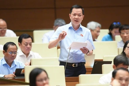 Đại biểu Quốc hội Trịnh Xuân An (Đoàn Đồng Nai). 