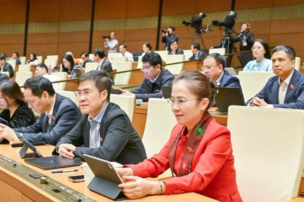 Đại biểu Quốc hội làm việc tại hội trường. (Ảnh: DUY LINH)