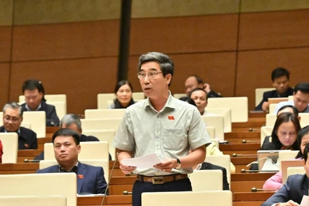 Đại biểu Quốc hội thành phố Đà Nẵng Trần Chí Cường phát biểu thảo luận tại hội trường. (Ảnh: ĐĂNG ANH)