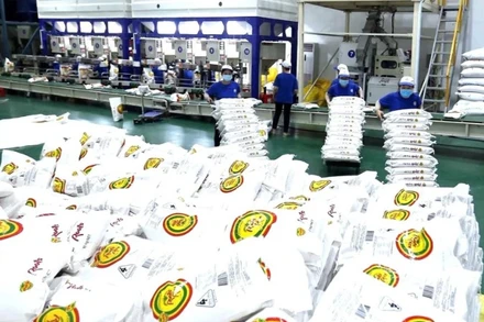 Chế biến gạo xuất khẩu tại nhà máy của Công ty CP nông nghiệp công nghệ cao Trung An, thành phố Cần Thơ. (Ảnh: VŨ SINH)