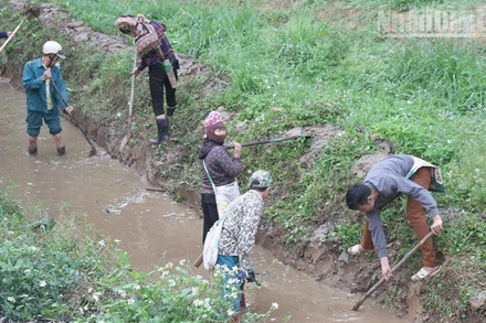 Nhân dân các bản thuộc phường Chiềng An đồng loạt ra quân nạo vét kênh mương nội đồng.