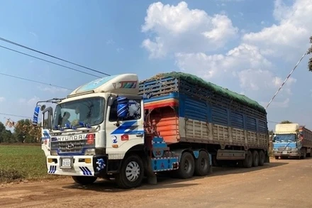 Xe hàng hóa ở cửa khẩu Tây Ninh. (Ảnh: chinhphu.vn)