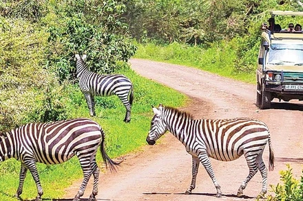 Châu Phi đang ngày càng thu hút sự quan tâm của nhiều du khách quốc tế. (Ảnh: XINHUA)