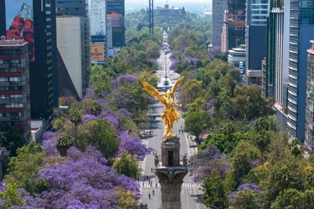Đại lộ Reforma ở thủ đô của Mexico. (Ảnh: XINHUA)
