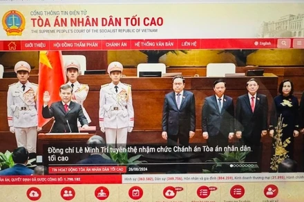 Cổng thông tin điện tử của tòa án. (Ảnh: TH)