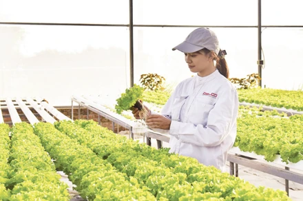 Mô hình trang trại thông minh Delco Farm tại xã Thuận Thành, tỉnh Bắc Ninh được xây dựng và thiết kế theo tiêu chuẩn công nghệ cao. (Ảnh: TUỆ NGHI)