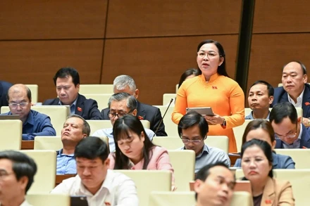 Đại biểu Lý Anh Thư (Đoàn An Giang) phát biểu tại hội trường. (Ảnh: DUY LINH)