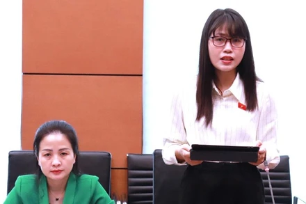 Đại biểu Trần Thị Quỳnh (Đoàn Ninh Bình). (Ảnh: QH)