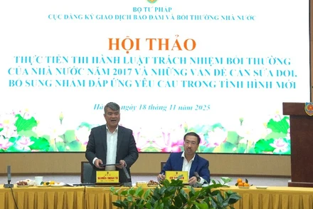 Thứ trưởng Tư pháp Nguyễn Thanh Tú phát biểu tại hội thảo. (Ảnh: TL)