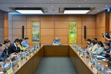 Đại biểu Quốc hội thảo luận tại tổ về Dự án Luật sửa đổi, bổ sung một số điều của Luật Tiếp công dân, Luật Khiếu nại, Luật Tố cáo. (Ảnh: THỦY NGUYÊN)