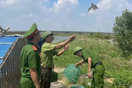Công an xã Đan Hải, tỉnh Hà Tĩnh, và kiểm lâm thả các loài chim rừng về tự nhiên. (Ảnh: CÔNG AN XÃ ĐAN HẢI)
