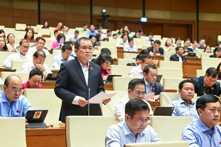 Đại biểu Nguyễn Tâm Hùng (Đoàn Thành phố Hồ Chí Minh). (Ảnh: DUY LINH)